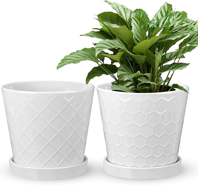 EFISPSS Ceramic Plant Pots, 6 Inch Pots for Indoor Plants, Planters with Drainage Hole and Saucer, Flower Pots Desktop Office Windowsill Decoration Gift Set of 2 - White