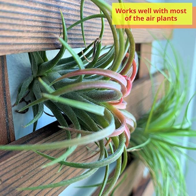 ShopLaLa Wall Planters - 4 Pack Wooden Hanging Planter for Indoor Outdoor Plants, Air Plant Succulent Orchid Holder, Live Vertical Garden Wall Mounted Plant Stand, Wall Christmas Decor 15.7" (40cm)