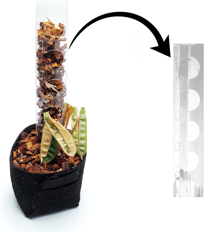 Plastic Moss Poles for Climbing Plants V3 Small 10 Pcs Front Opening Stackable Moss Pole Monstera Plant Support-Plant Climbing Pole, DIY Moss Pole for Plants Indoor, Plant Sticks Support by THICCLY