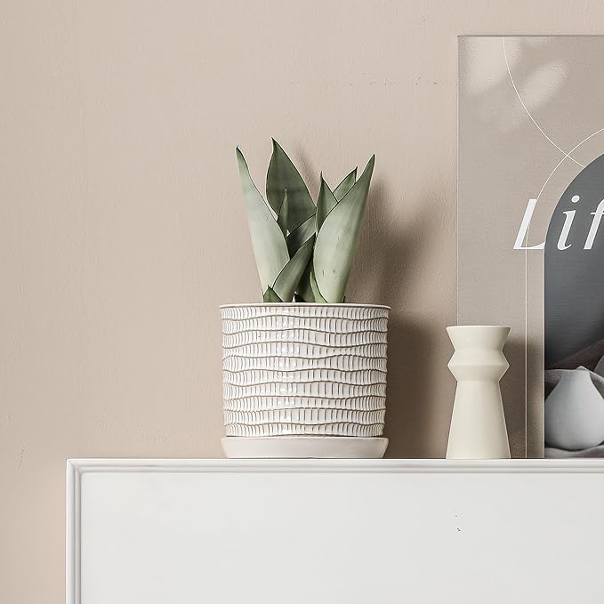 8 Inch Plant Pot: Ceramic Planter with Drainage Hole & Saucer - Cream White Flowerpot for Indoor & Outdoor Plants - with Separate Tray for Home & Office - Wave Embossed Design