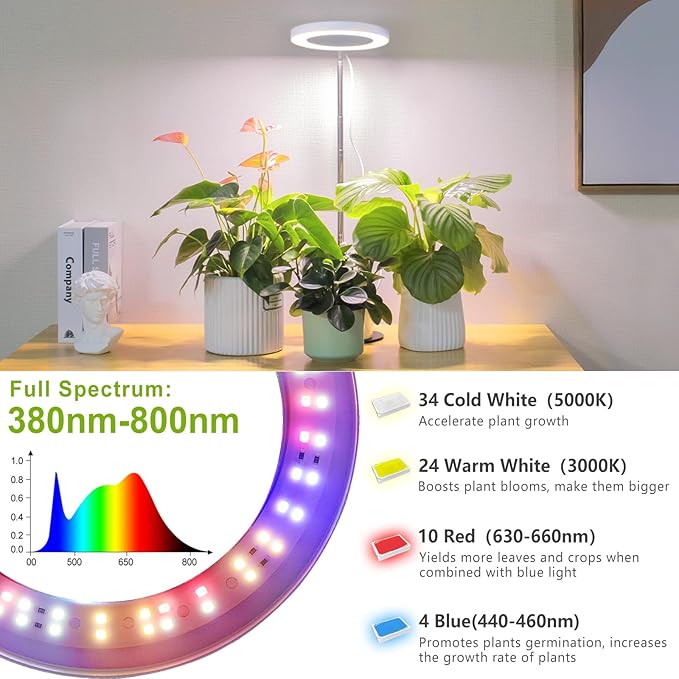LORDEM Grow Light, LED Plant Light for Indoor Plants Growing, Full Spectrum Desk Growth Lamp with Automatic Timer for 4H/8H/12H, 4 Dimmable Levels, Height Adjustable 9.8"-30.6", Pack of 2