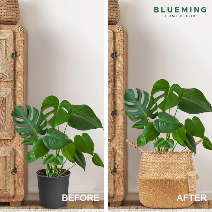 Plant Basket – Large Wicker Indoor Planter for Artificial Olive Tree Pot, 9-10 Inch Woven Baskets for Faux House Plants (Original, Large)