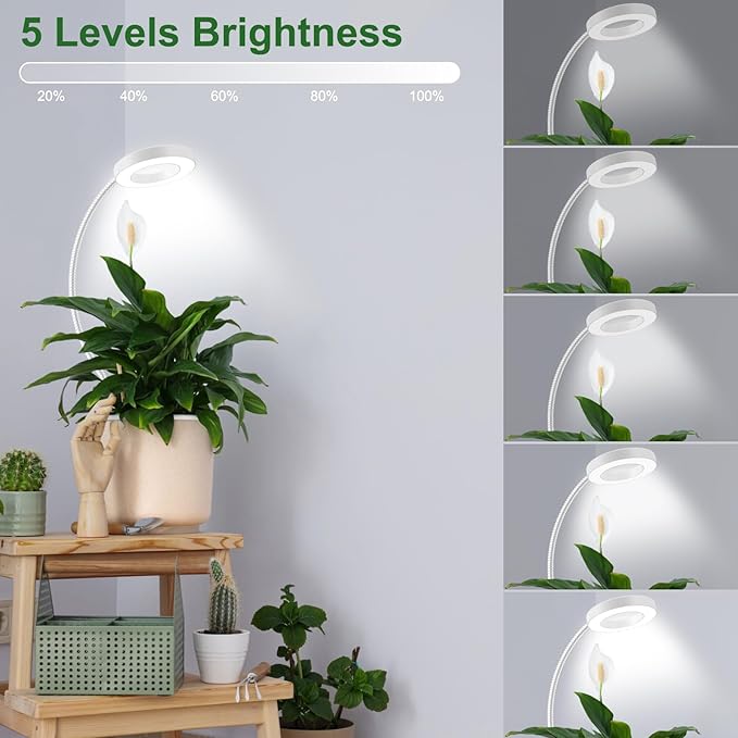 Wolezek 2 in 1 Grow Lights for Indoor Plants, 3 Colors Plant Lights for Indoor Growing with 360° Gooseneck, 48 LEDs Full Spectrum Plant Grow Lights Indoor, 6/12/16H Timer, 5 Brightness, White 1 Pack