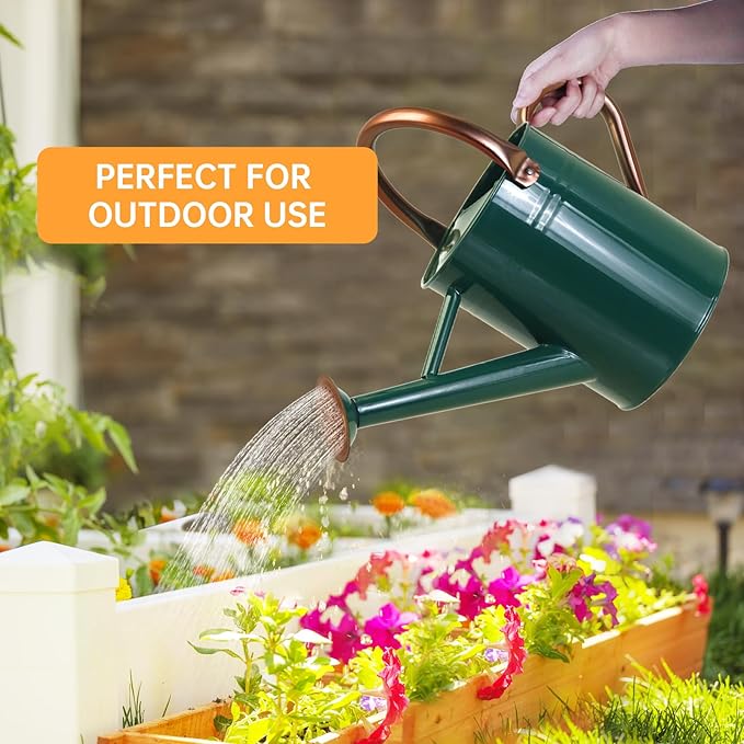 Metal Watering Can for Outdoor Plants, 1 Gallon Galvanized Steel Watering Can with Removable spout for Outdoor & Indoor Use, Perfect for Garden Flower, Houseplants, Forest Green