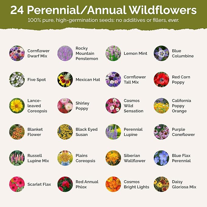 Eden Brothers Western Wildflower Mixed Seeds for Planting, 1/4 lb, 120,000+ Seeds with Cornflower, Blanket Flower | Attracts Pollinators, Plant in Spring or Fall, Zones 3, 4, 5, 6, 7, 8, 9, 10