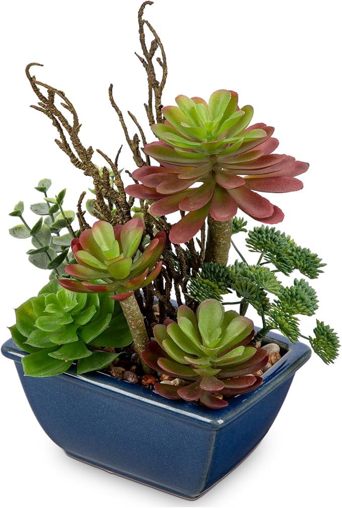 Small Faux Plant Assorted Fake Succulents Plants with Glazed Ceramic Pot Faux Succulents Arrangement Cement Potted Desk Plants Small Fake Plants for Home Table Office Bathroom Shelf Living Room Decor
