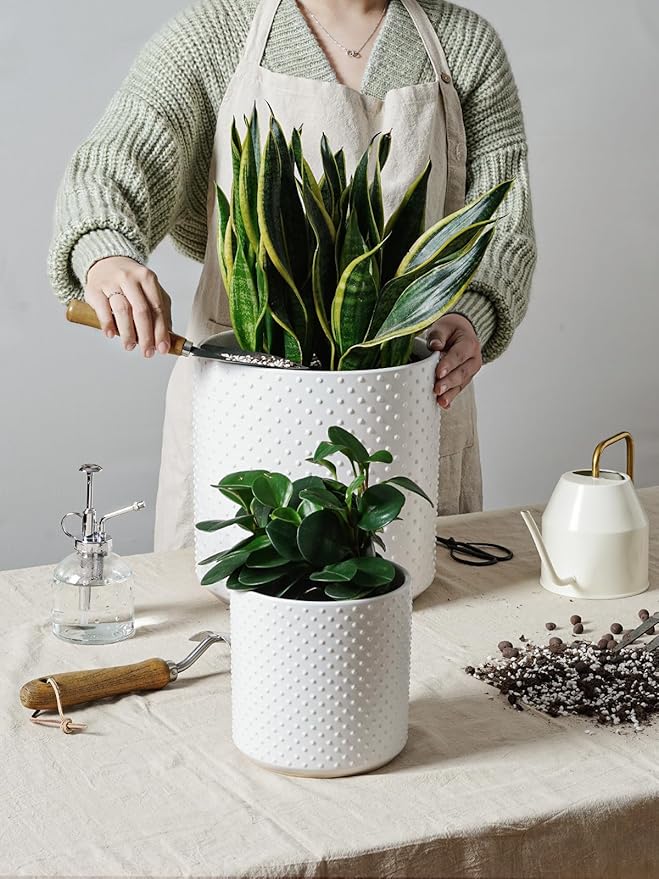 LE TAUCI 6+8+10 Inch Plant Pots Indoor, Ceramic Planter Pots for Plants, Raised Dots Flower Pots Indoor for Home and Office, Mid-Modern Century Pots Indoor with Drainage Hole and Silicone Plug, White