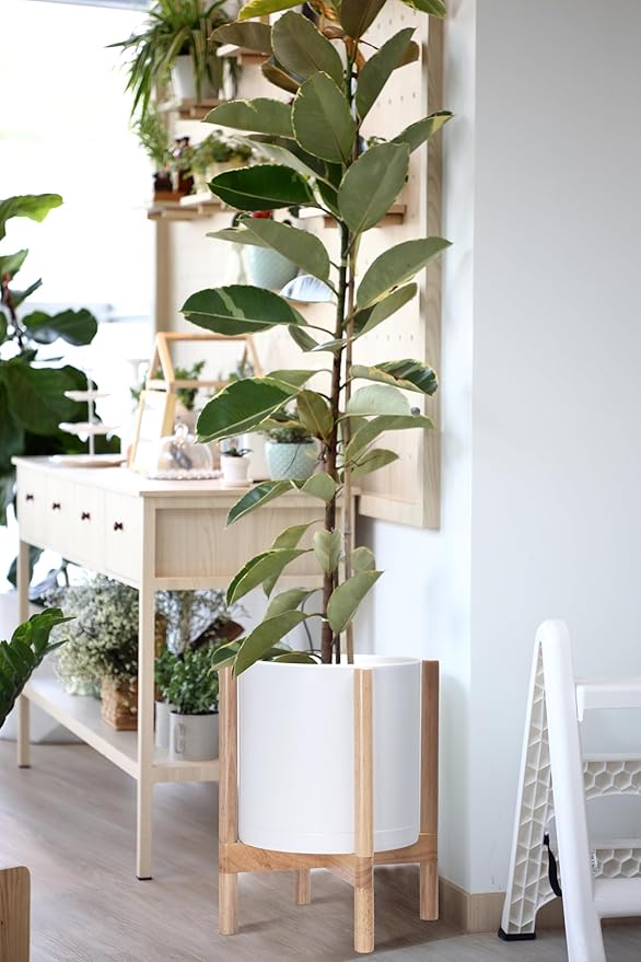 D'vine Dev Planter Pot with Stand - 12 Inch Plastic Cylinder Flower Pot with Wood Planter Holder for Indoor, Matte White Pot + Natural Stand, 55-C-P-1