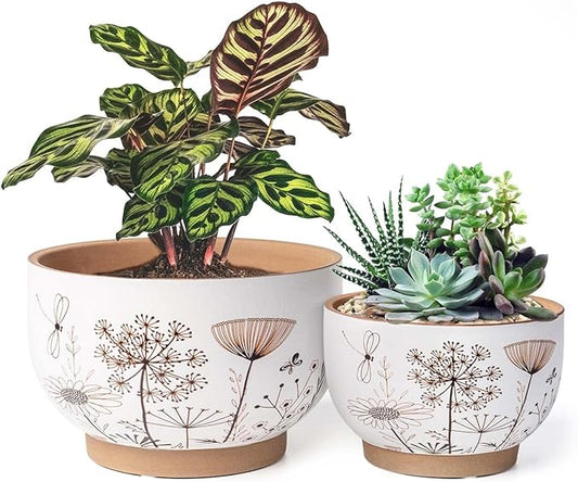 YBX 8 Inch + 6 Inch White&Terracotta Flower Pots, Succulent Ceramic Plant Pots with Drainage Holes, Terracotta Planters for Indoor Plants (Garden)