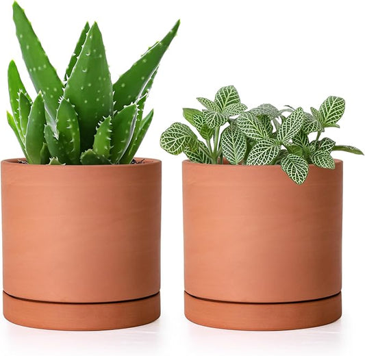D'vine Dev X-Small 4 Inch Terracotta Plant Pot with Drainage Hole and Saucer, Round Cylinder Planter Pot for Indoor Plants, Set of 2, 40-X-B-1