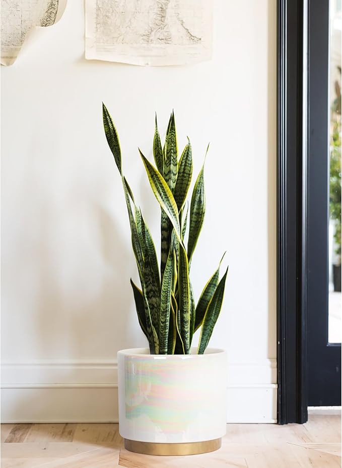 Gepege White Indoor Pots for Plants, Ceramic Planter with Drainage Hole, 9.6inch+7.6Inch+6Inch. Succulent Orchid Flower Pot - Rainbow Pearl Glaze