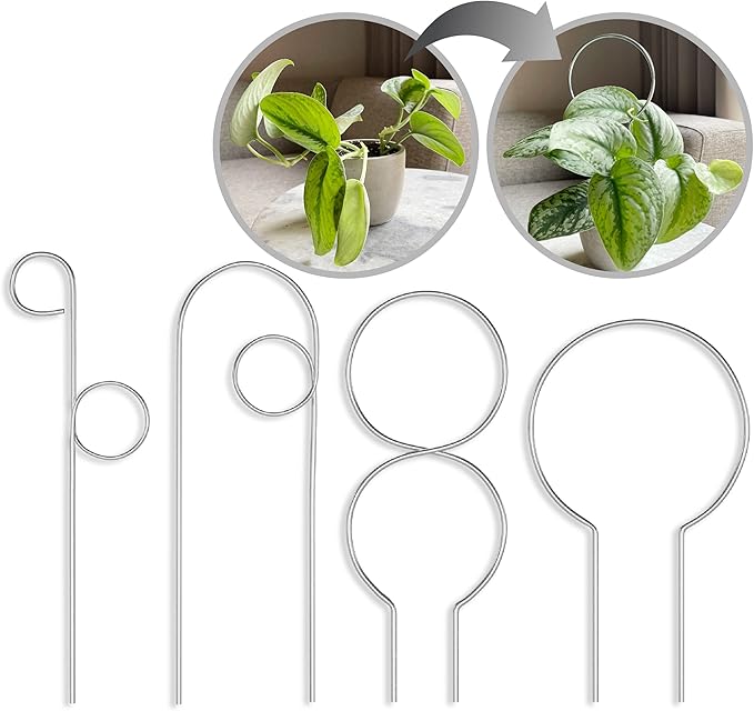 Small Metal Trellis for Indoor Plants Metal Plant Stake for Climbing House Plants Plant Support for Potted Plants Orchids, Monstera, Pothos, Ivy, Hoya, Philodendron Set of 4 (Simply Silver)