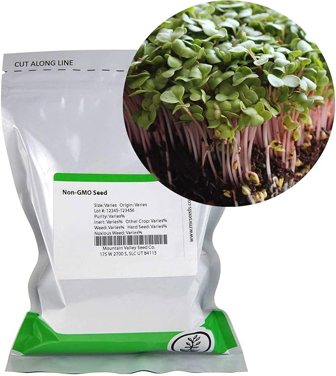 Radish Sprouting & Microgreens Seeds – Red Arrow Variety – 1 LB – Non-GMO, Heirloom – Fast-Growing, Spicy Radish Sprouts & Vibrant Micro Greens for Salads, Sandwiches, Smoothies & Indoor Gardening