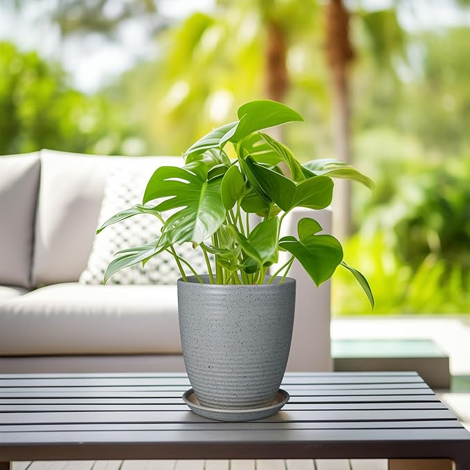 8 Inch Plant Pot Ceramic Planter Pot with Drainage Hole and Saucer Modern Round Flower Pot for Indoor Plants Light Gray