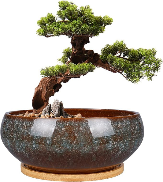 8 Inch Ceramic Bonsai Planter Pot, Glazed Shallow Succulent Planter with Drainage Hole and Bamboo Saucer for Indoor Plants, Brown