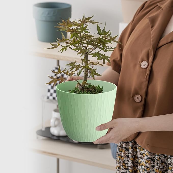 6 inch Plant pots, 12 Pack Modern Plastic Planters with Drainage Holes and Saucers for Repotting Indoor Plants and Flowers, Colorful