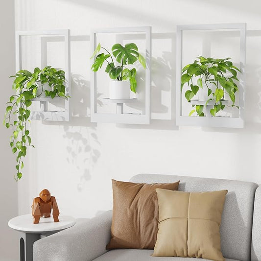Picture Frame Wall Plant Holder, Metal Window Plant Shelves Plant Holder for Indoor Plants, Hanging Wall Planters Wall-Mounted Plant for Home, Office, and Garden (White, 3PCS)