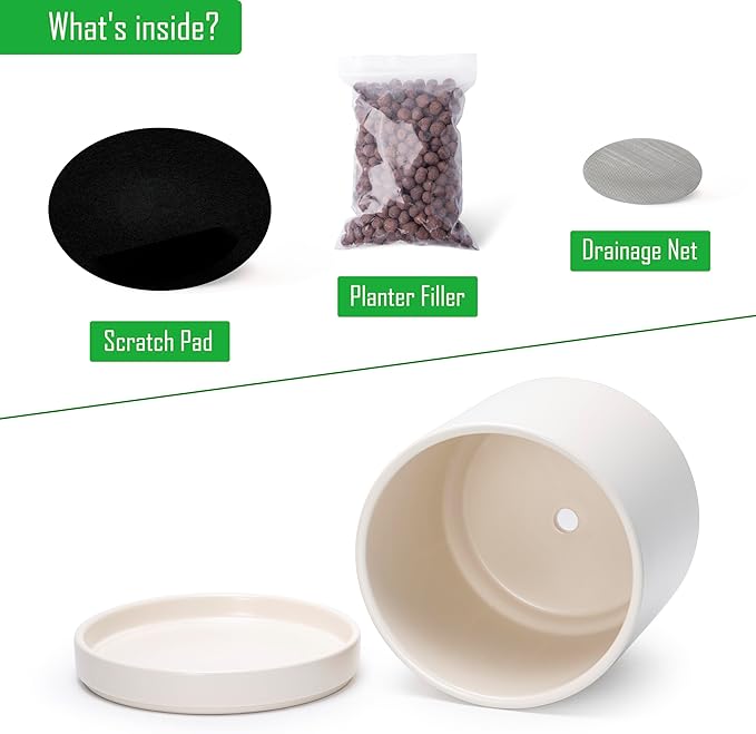 D'vine Dev 8 Inch Ceramic Planter Pot with Drainage Hole and Saucer, Indoor Cylinder Round Planter Pot, Oatmeal, 94-O-D-8