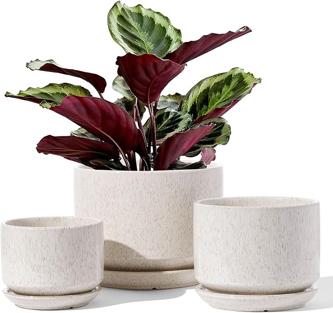 LE TAUCI Ceramic Plant Pots, 4.3+5.3+6.8 inch, Set of 3, Planters with Drainage Hole and Saucer, Indoor Flower Pot with Hole Mesh Pad, Gifts for Mom, Reactive Glaze Beige