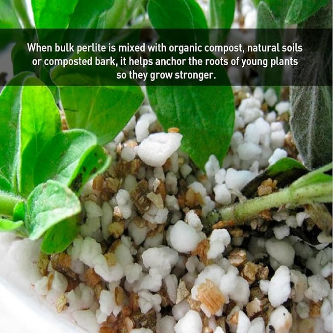 Norcal Perlite Horticultural Organic Certified Premium Screened Coarse – Garden Indoor Outdoor Plants – Soil Additive Better Aeration and Drainage - 4 Cubic Feet (103 Quarts) 1 Bag