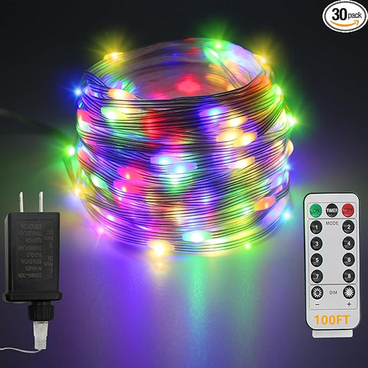 LED Rope Lights Outdoor, 100Ft 300 LED Multicolor String Lights Indoor with Remote, 8 Modes Waterproof Fairy Lights for Outside Garden Patio Party Wedding Christmas Decoration