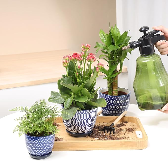 Selamica Ceramic Succulent Pots with Drainage Holes, Small Flower Pots 3.5 Inch Plant Pots for Indoor Plants with Saucers, Cactus Succulent, Home Decor, Set of 4, Vintage Blue