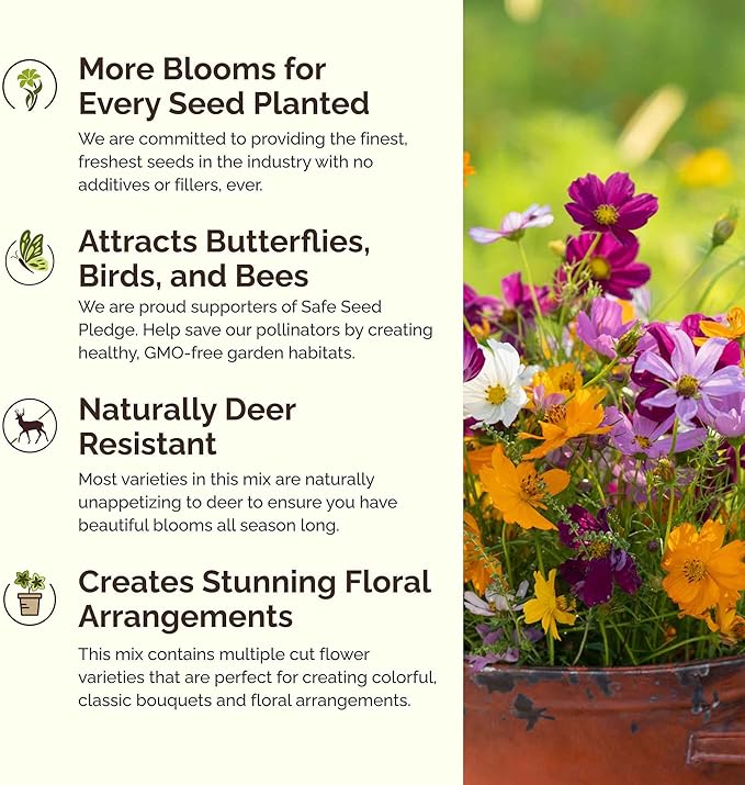 Eden Brothers Florida Wildflower Mixed Seeds for Planting, 1 lb, 480,000+ Seeds with Cornflower, Cosmos, African Daisy | Attracts Pollinators, Plant in Spring or Fall, Zones 3, 4, 5, 6, 7, 8, 9, 10