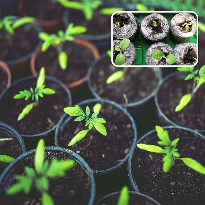 ZeeDix 100 Pcs (40mm) Peat Pellet Fiber Soil Plant Seed Starters - Seed Starter Pellets Pods Compressed Peat Pellets for Grow Herbs, Plant, Flowers and Vegetables