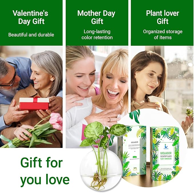 Ivolador Wall Hanging Planter Propagation Station Glass Flower Vase for Hydroponics Plants, Home Office Living Room Decor Gift, Set of 4