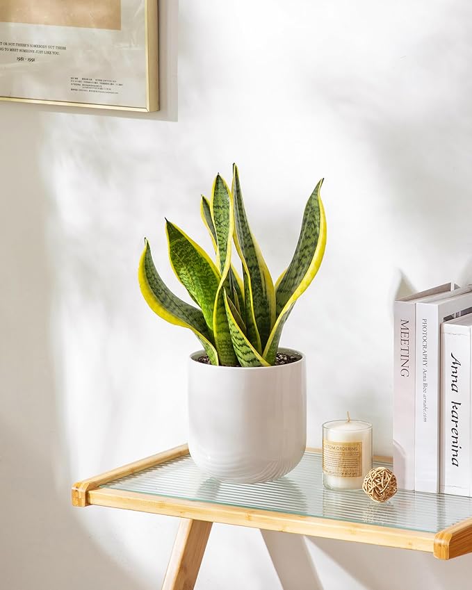 vancasso 6 Inch Ceramic Plant Pots, Planters with Drainage Hole, Flower Pots Planters Pots for Indoor Plants, Modern Indoor Decorative Garden Pot, Home Decor, White