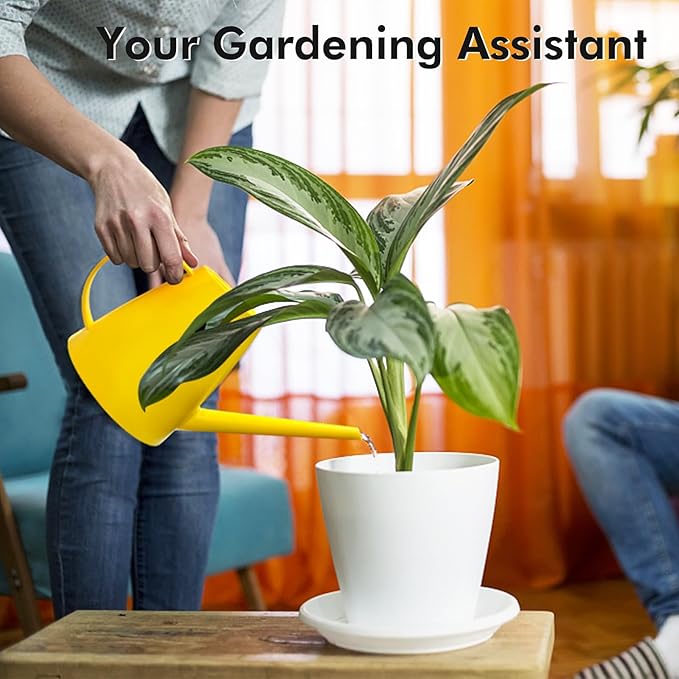 Watering Can for Indoor Outdoor Plants, Modern Small Watering Cans with Removable Nozzle, Long Spout Watering Can for Indoor Bonsai Plants Garden Flowers 1/2 Gallon 1.8L 60OZ (Yellow)