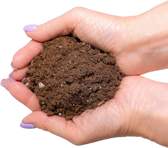 Healthy Soil, Juicy Mandarins - Gardenera's Soil Mix is a Must-Have for Citrus Lovers! - 10 Quart