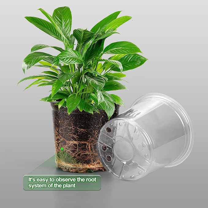36 Pack 7 Inch Clear Nursery Pots, 1 Gallon Clear Plastic Nursery Pot for Plants, Durable Seed Starting Pot with Drainage Holes, Flexible Transparent Pot for Succulents