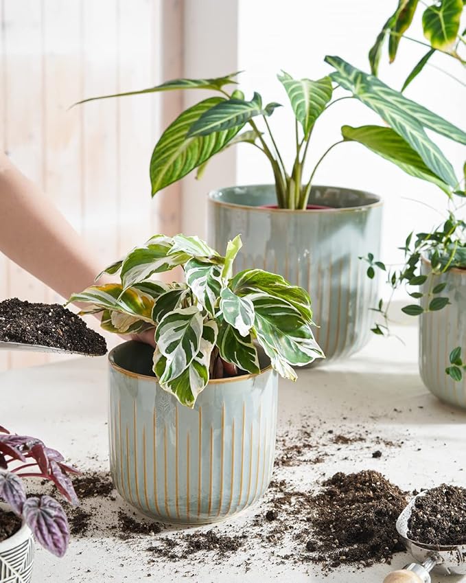 LE TAUCI Ceramic Planters, Set of 3 Plant Pots for Indoor Plants, 8.3+6.9+5.7 inch Flower Pots with Drainage Holes, Large Cylinder Planters Pot for Outdoor Indoor House Plants, Glaze Blue Gray