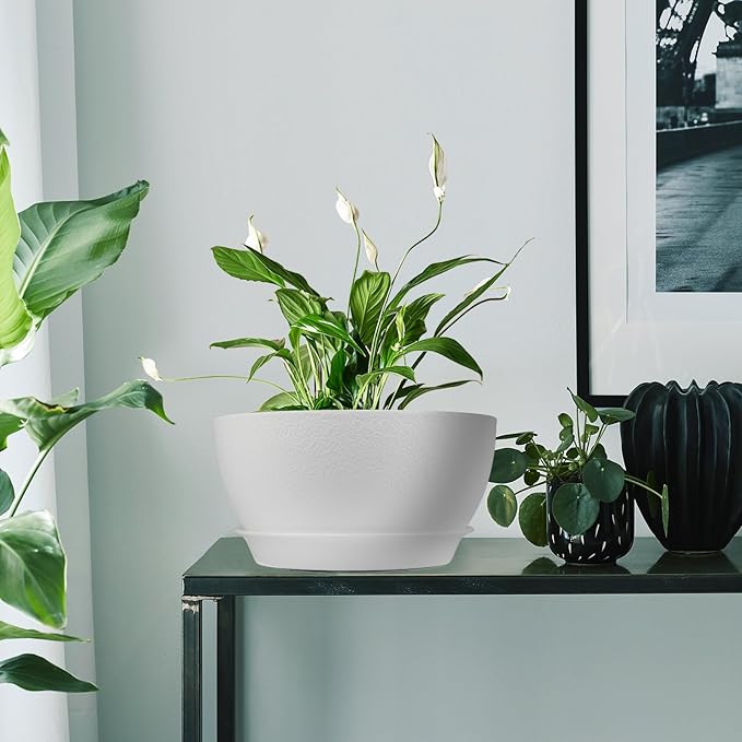 10 inch Plant Pots Pack of 2, Plastic Planter with Drainage Holes and Saucers, Plant pots for Indoor Outdoor Use, Flower Pots for All House Plants (White)