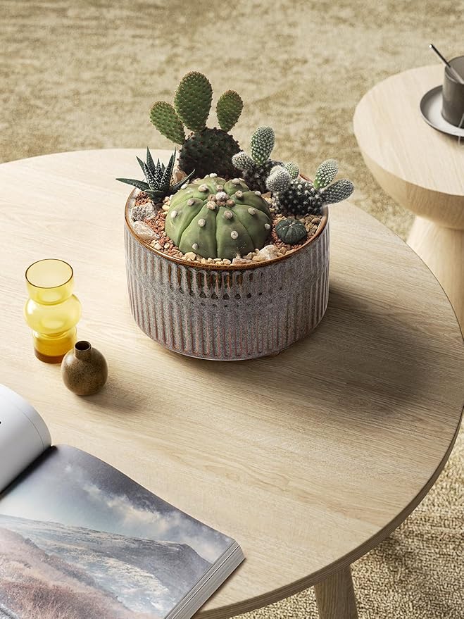 LE TAUCI Succulent Pots, 6.5+8 Inch Ceramic Indoor Plant Pot with Drainage Hole, Modern Round Decorative Flower Pot, Set of 2, Reactive Glaze Black