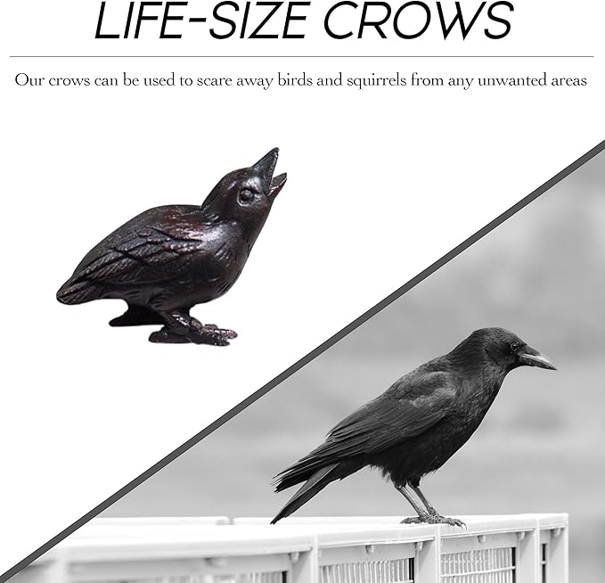 NACH Cast Iron Baby Crow Statue, Raven Garden Statues, Crow Garden Sculpture, Bird Figurines Home Decor, Crow Decor, Raven Decor, Black Bird Statue, 5.4 x 2.2 x 3.2 inches, JS-90-7116