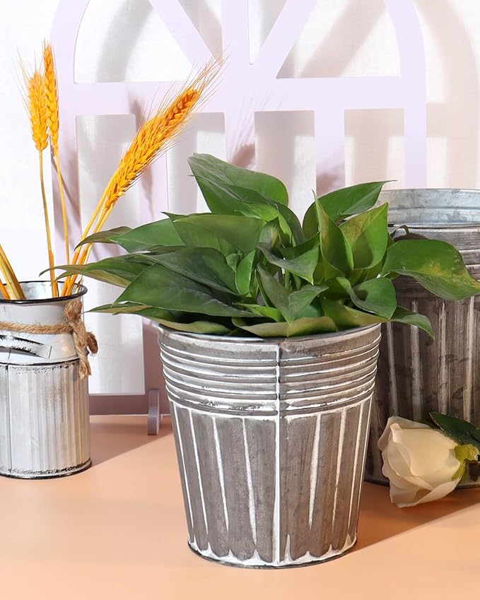 vensovo 6 Inch Silver Metal Rustic Flower Pots - 6Pcs Galvanized Planters with Drainage Hole and Rubber Plug, Rustproof Metal Bucket Plant Pots Farmhouse Vintage Style for Decor