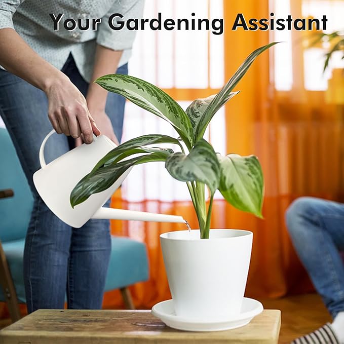 Watering Can for Indoor Outdoor Plants, Modern Small Watering Cans with Removable Nozzle, Long Spout Watering Can for Indoor Bonsai Plants Garden Flowers 1/2 Gallon 1.8L 60OZ (White)