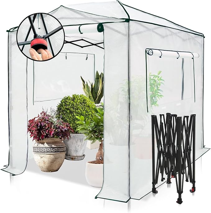 EAGLE PEAK 8x6 Portable Walk-in Greenhouse, Pop-up Indoor Outdoor Garden Green House, Zippered Doors and Windows, PE Cover, White