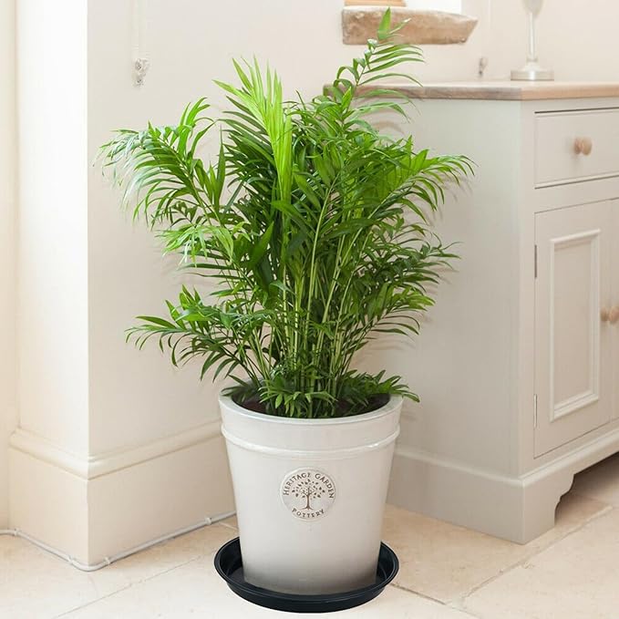 12 Pack Bottom 8 Inch Plant Saucers for Indoors Outdoors Plastic Plant Water Catcher Trays No Holes Round Flower Pot Drip Trays for Pots Base Heavy Duty Plant Pot Saucers Water Drainage Trays, Black