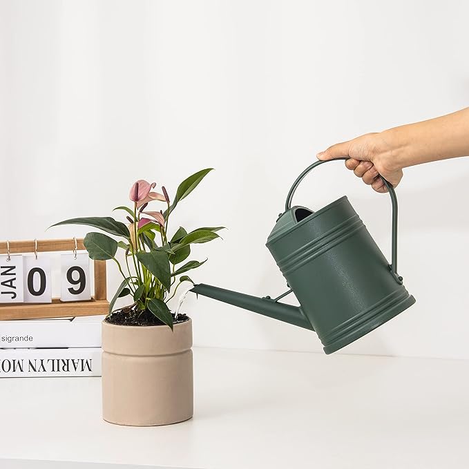 Watering Can for Indoor Plants, Flower Watering Can, Plastic Water Can for Plants, Indoor Watering Can with Sprinkler Head 68 oz, 1/2 Gallons