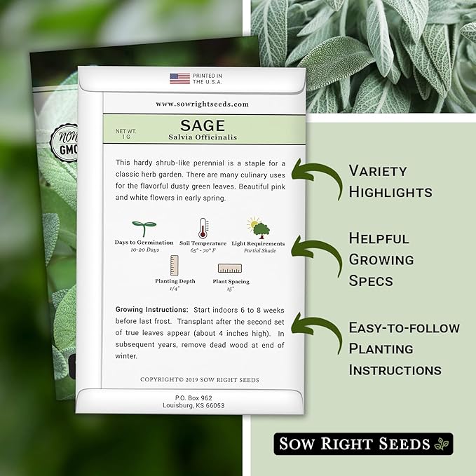 Sow Right Seeds - Sage Seeds for Planting - Non-GMO Heirloom Packet with Instructions to Plant and Grow Kitchen Herb Garden - Indoor or Outdoor - Great for Pollinators - Culinary Seasoning (4)