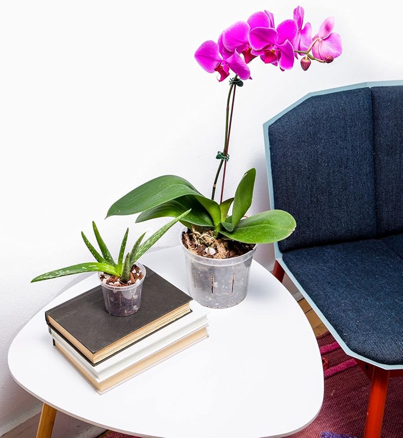 rePotme 8 inch Orchid Pot with Holes - 3 Pack of Slotted Orchid Pots (Crystal Clear) - All Purpose Planter for All Indoor Plants