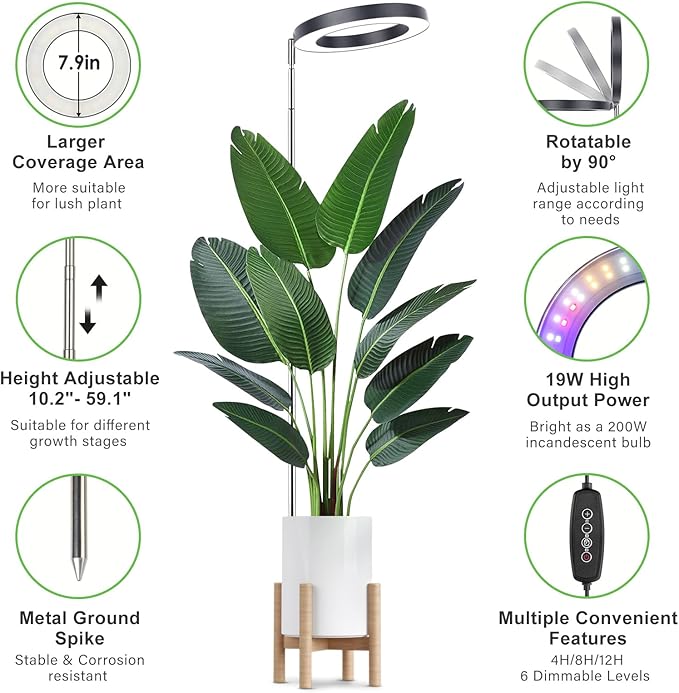 LORDEM Grow Light for Indoor Plants, 7.9" Full Spectrum LED Plant Grow Light, Height Adjustable Growing Lamp with Auto Timer 4H/8H/12H, 6 Dimmable Levels, Black, 1 Pack