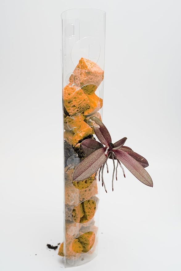 Plastic Moss Poles for Climbing Plants V3 Small 10 Pcs Front Opening Stackable Moss Pole Monstera Plant Support-Plant Climbing Pole, DIY Moss Pole for Plants Indoor, Plant Sticks Support by THICCLY