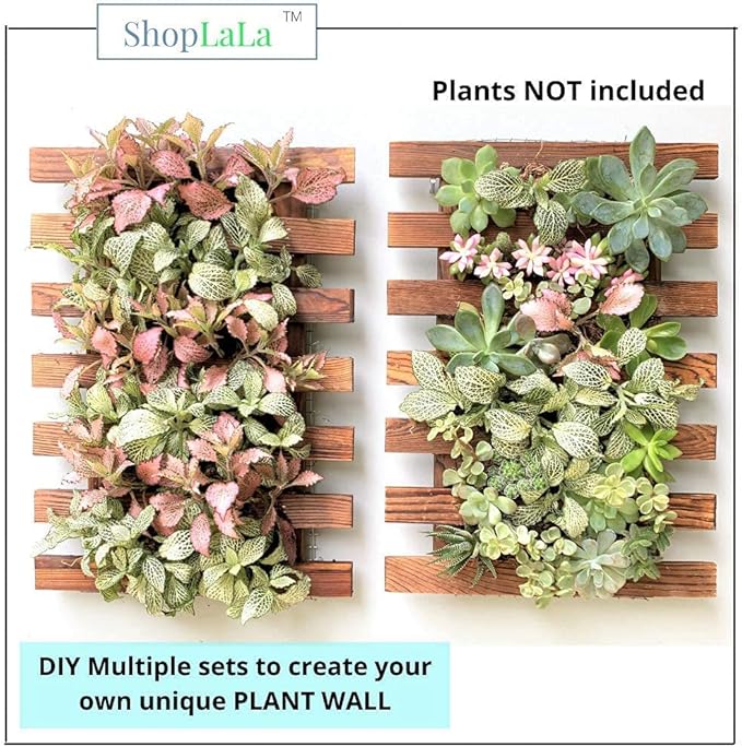 ShopLaLa Wall Planter - 2 Pack Wooden Orchid Planter Frame Display Outdoor Plants, Wall Mount Air Plants Succulent Holder Hanger, Vertical Garden Plant Wall Decor Macetas para Orquideas 15.7" (40cm)