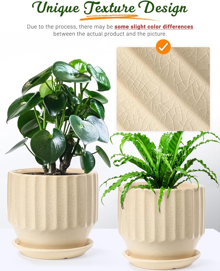 AISBUGUR Plant Pots 6 inch Set of 2 Ceramic Pots for Indoor Plants with Drainage Hole and Saucer Unique Crackle Glaze Design Garden Flower Pots Come with Drainage Nets, Creamy White
