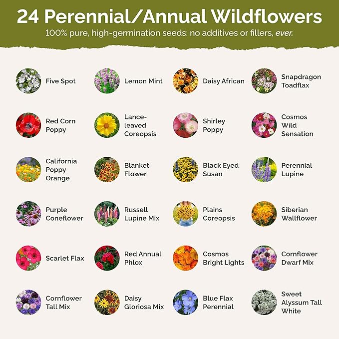Eden Brothers Florida Wildflower Mixed Seeds for Planting, 1 lb, 480,000+ Seeds with Cornflower, Cosmos, African Daisy | Attracts Pollinators, Plant in Spring or Fall, Zones 3, 4, 5, 6, 7, 8, 9, 10