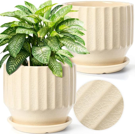 AISBUGUR Plant Pots 6 inch Set of 2 Ceramic Pots for Indoor Plants with Drainage Hole and Saucer Unique Crackle Glaze Design Garden Flower Pots Come with Drainage Nets, Creamy White